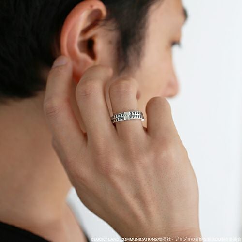 JJO003)ジョジョの奇妙な冒険 ダイヤモンドは砕けない空条承太郎ダブル