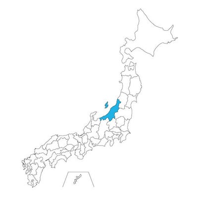 【ジャムホームメイド（JAMHOMEMADE）】日本地図 新潟県 ネックレス