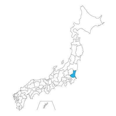 【ジャムホームメイド（JAMHOMEMADE）】日本地図 茨城県 ネックレス