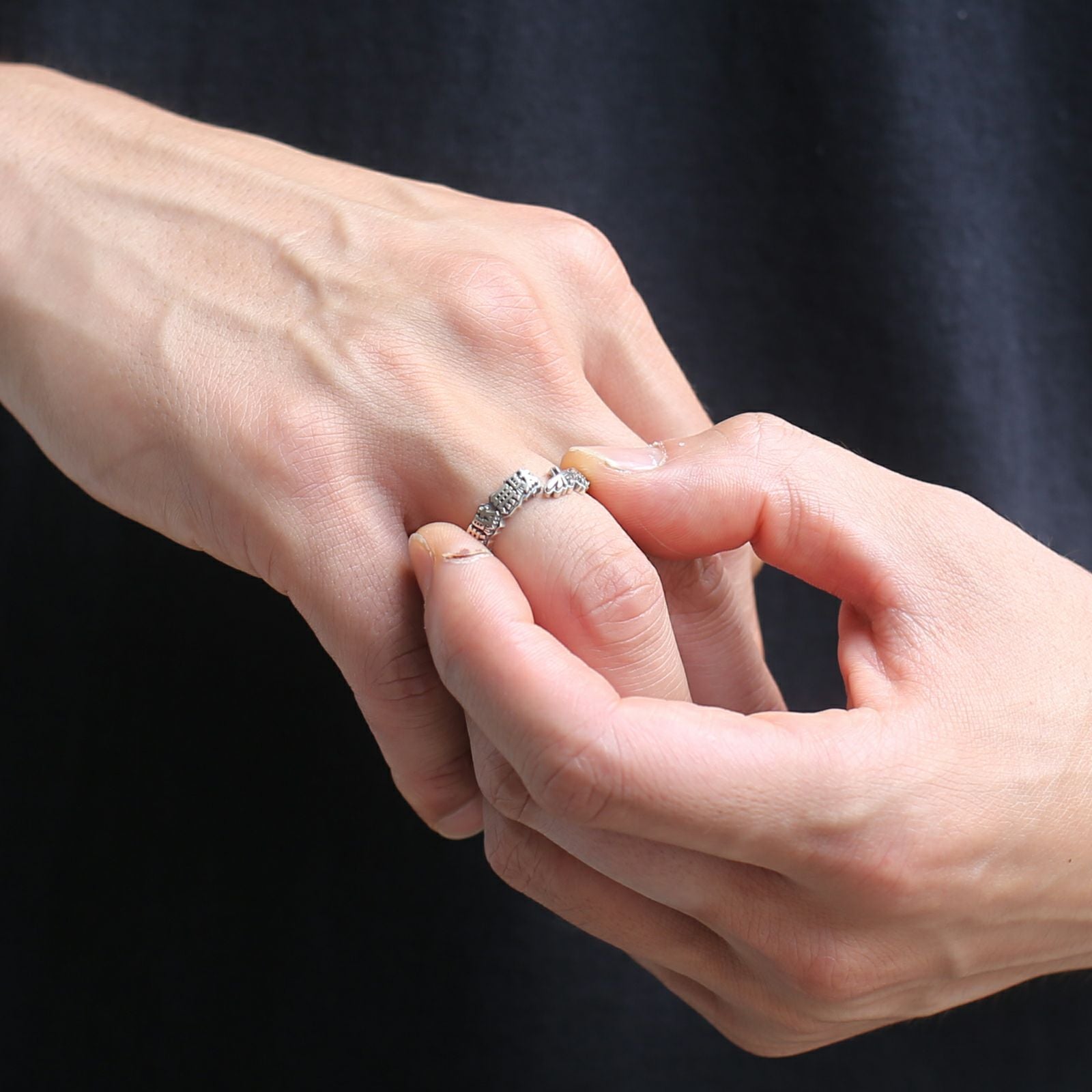 JJO044)ジョジョの奇妙な冒険 スターダストクルセイダース ラスト