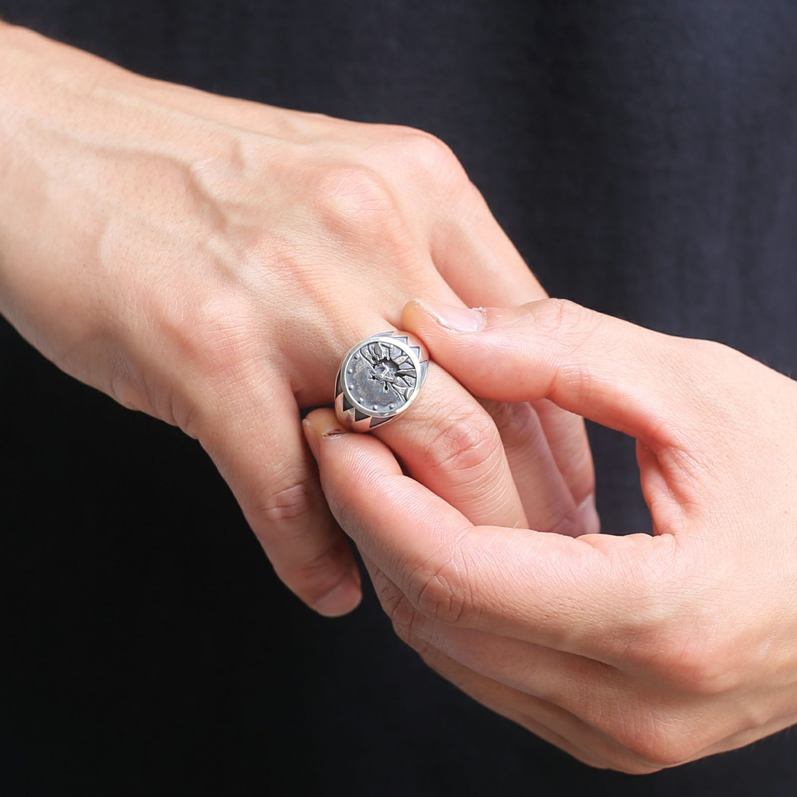 JJO042)ジョジョの奇妙な冒険 スターダストクルセイダース DIO ザ