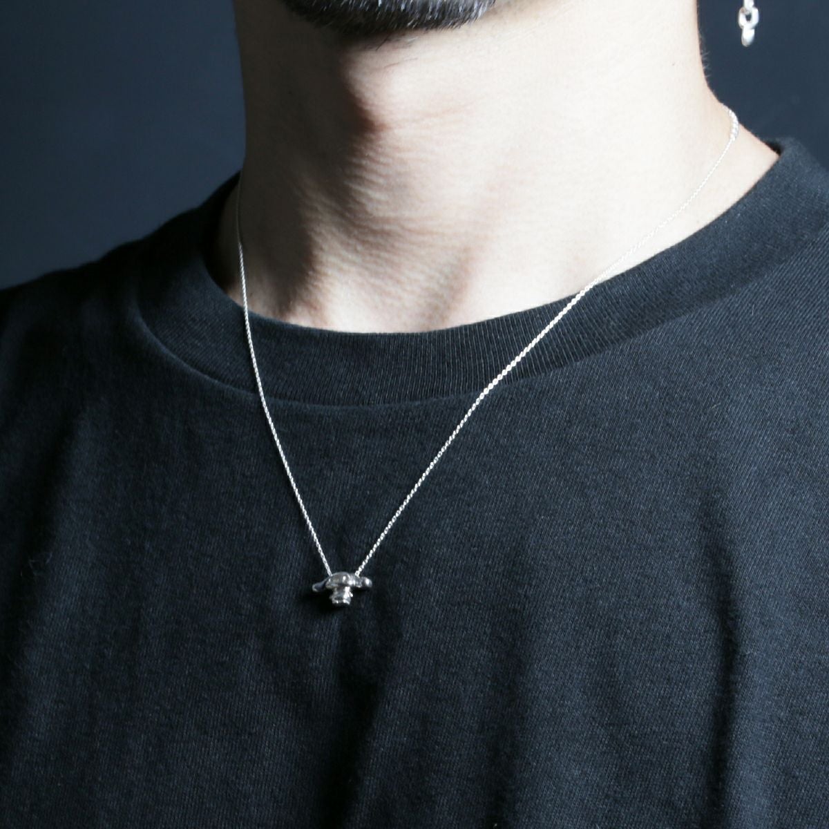000000013486-09.jpg?size=s&w=